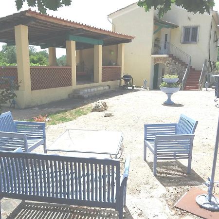 Entre Mer Et Montagne Les Arcs-sur-Argens Екстериор снимка